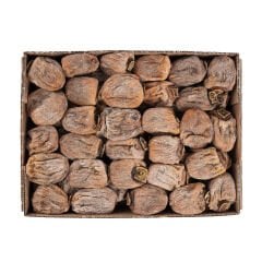 CENNET HURMASI KURUSU - DUBLE